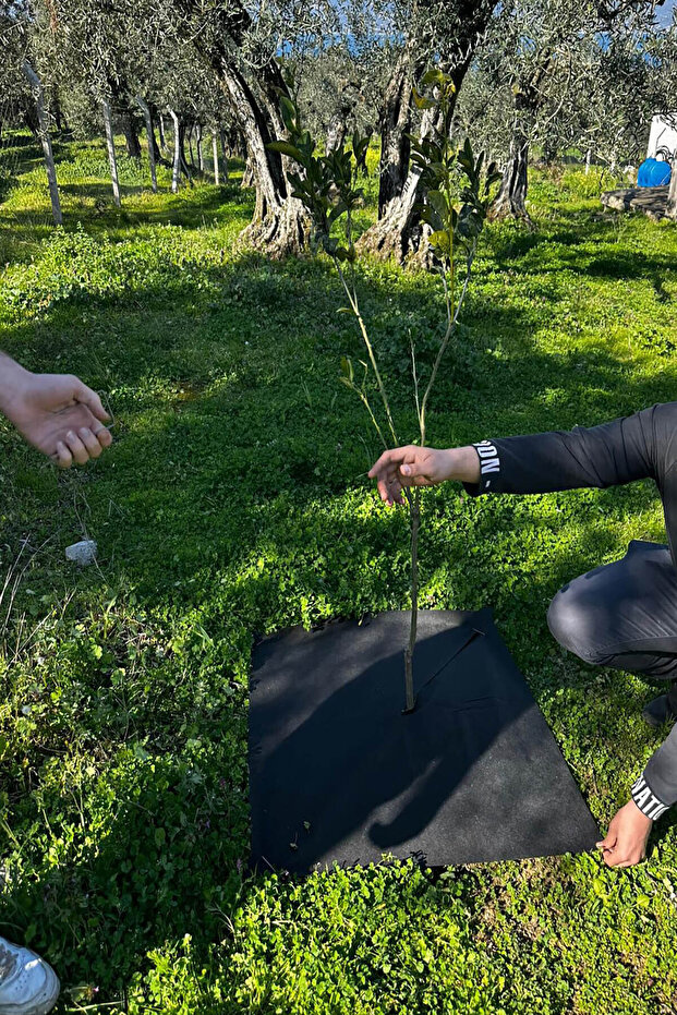 BİTKİ PASPASI (80*80 cm) 5'Lİ - 1