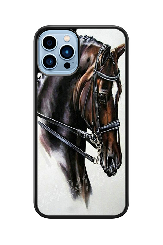 كفر ايفون 13 برو متعدد الألوان - 1