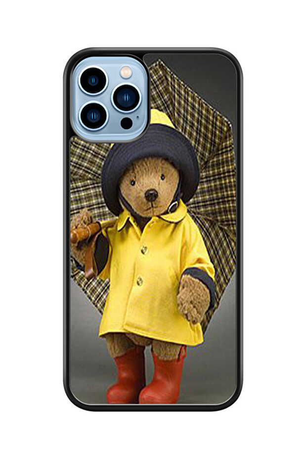 Multi-colored iPhone 13 Pro case - 1