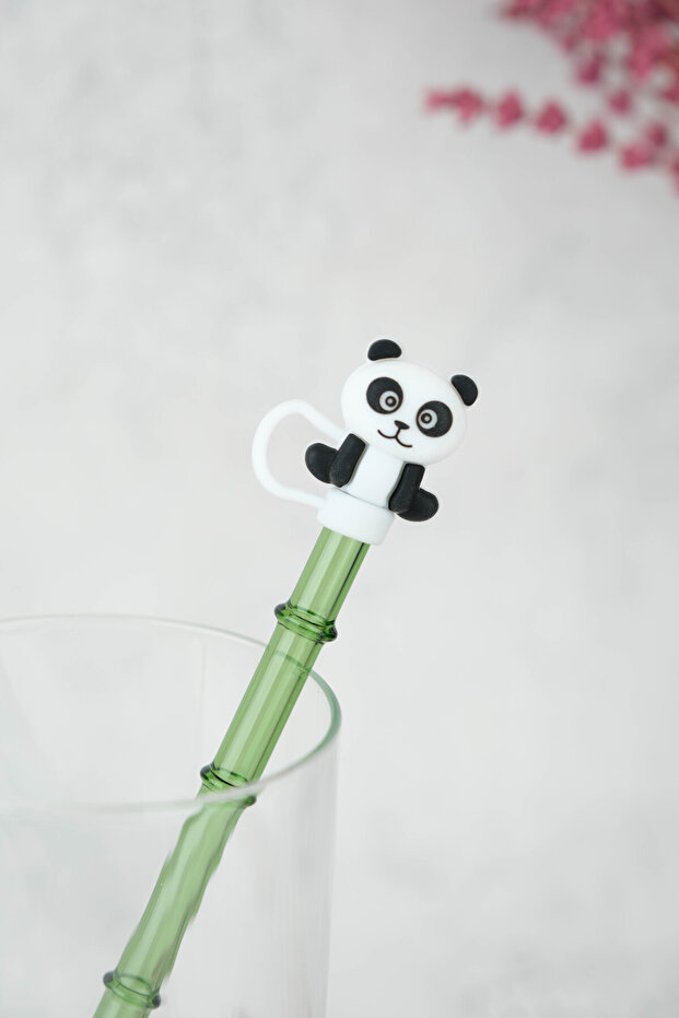 Cam Pipet Seti- Silikon Panda Kapaklı 1 Adet Düz, 1 Adet Eğimli Borosilikat Cam Pipet Seti - 6