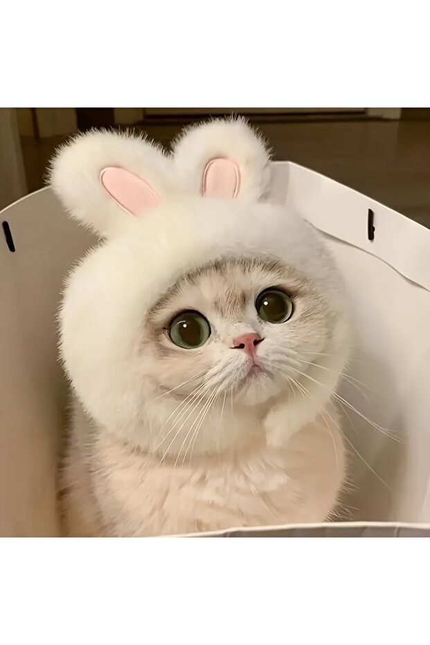 WHITE 1pc Bunny Ears Cat Hat Themed Pet Costume Knit Fabric Set Comfortable Polyester Pullover Headw