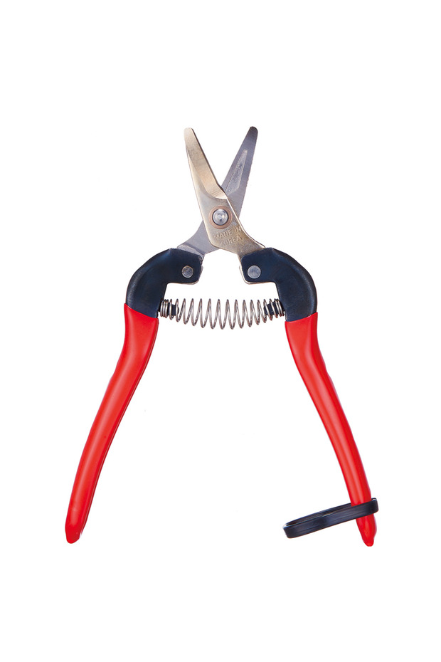 P-17c Pruning Shears - 1