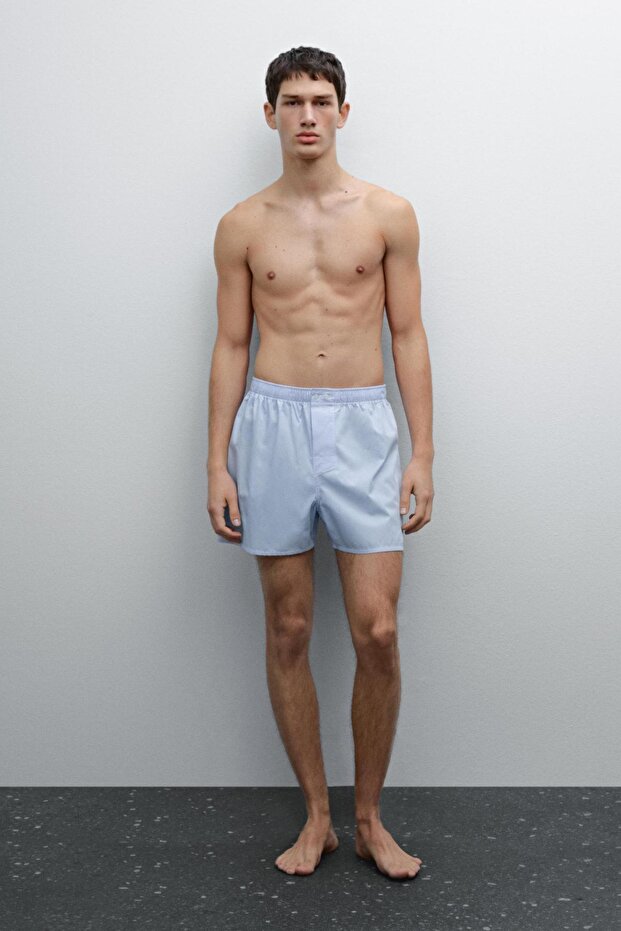 Pötikareli mini boxer - 1