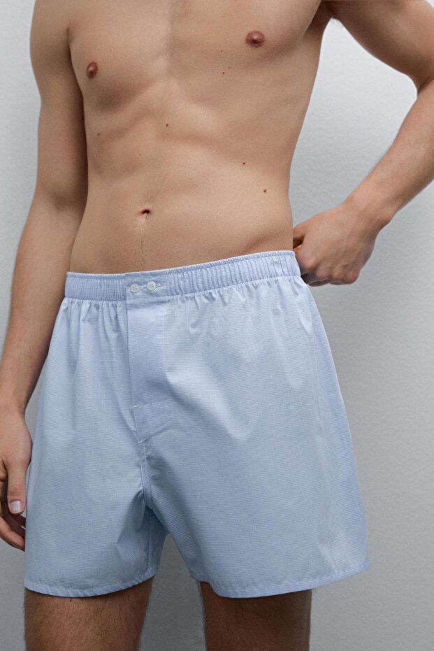 Pötikareli mini boxer - 3