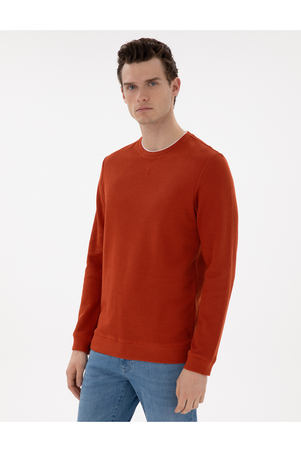 Brown Regular Fit Sweatshirt 50313298-Vr040
