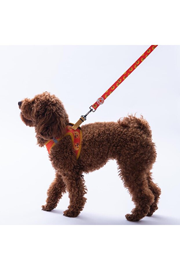 Poodle Leash Poodle Patterned Cat Dog Travel & Walking Strap Dog Extension Leash-2Cm