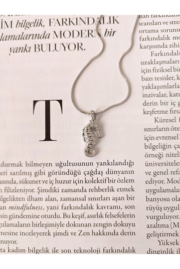 Kadın Çelik Deniz Atı Model Kolye - 2