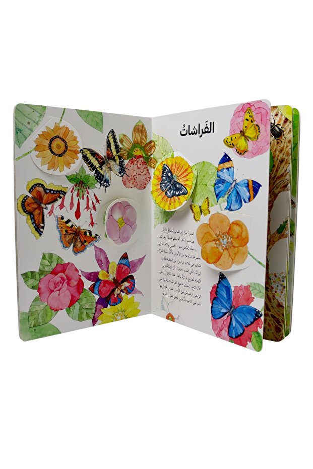 Discover the world of insects - open the window and discover with more than 50 folds inside the book - 3