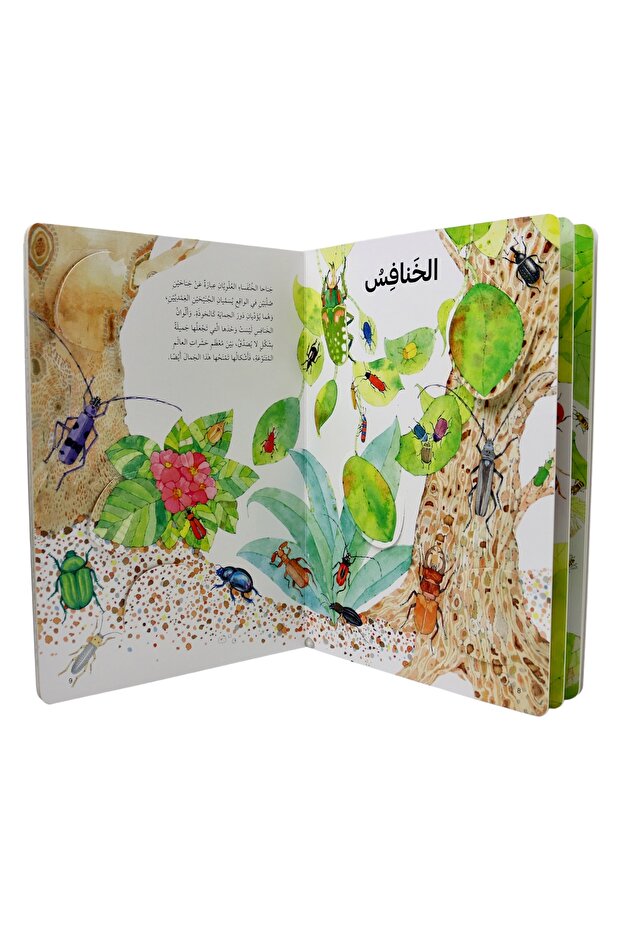 Discover the world of insects - open the window and discover with more than 50 folds inside the book - 4