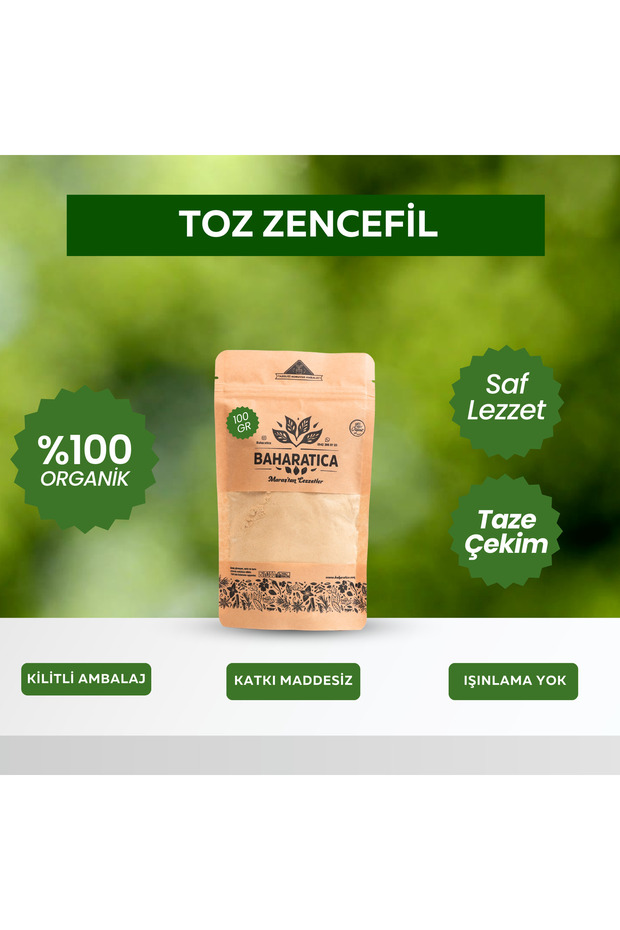 Toz Zencefil 100 Gr