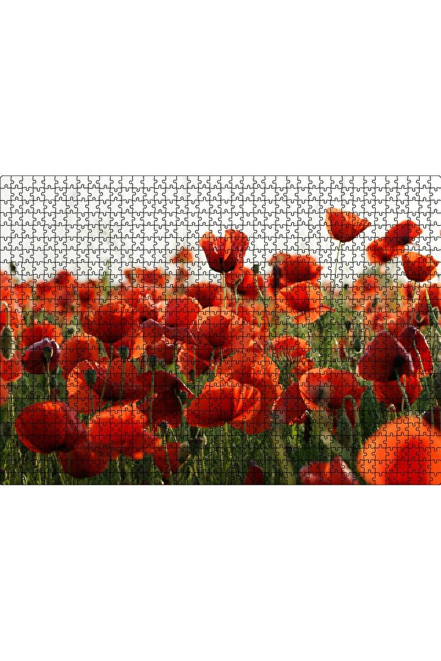 Cakasepetim Red Poppies in the Meadow 1000 Piece Puzzle Jigsaw Mdf (Wood)