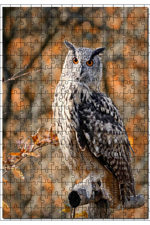 Cakasepetim Proud Owl Image 255 Piece Puzzle Jigsaw Mdf (Wood)