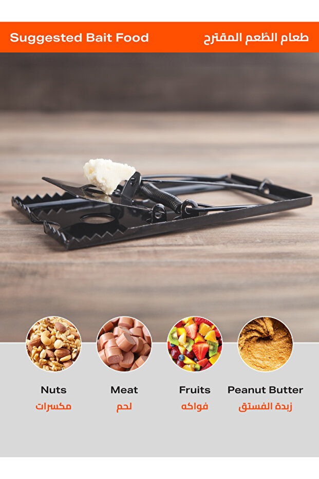 Mouse Trap Set - 6 Piece Medium Reusable Spring Snap Traps for Indoor Rodent Control - 5