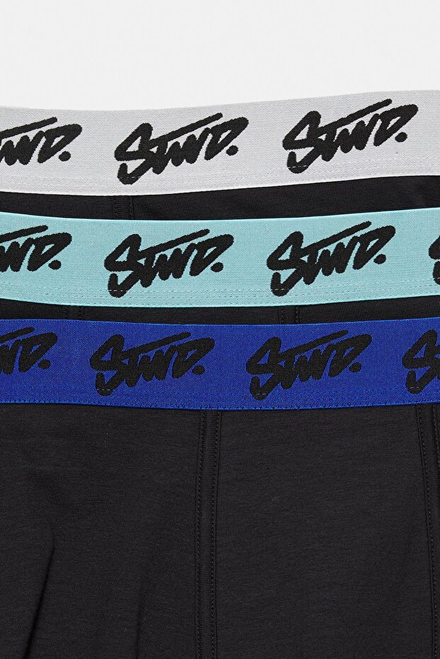 3'lü STWD logolu boxer paketi - 4