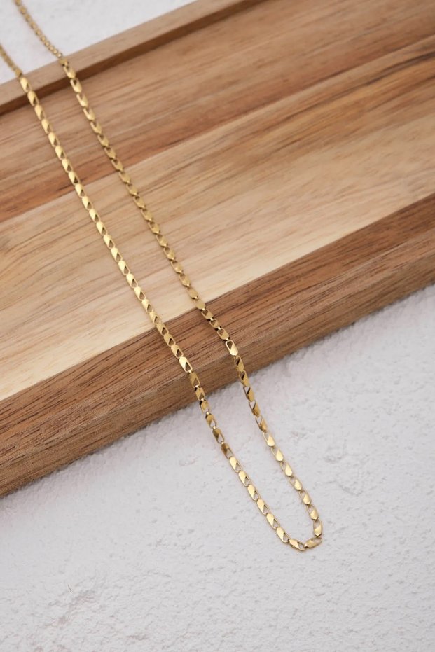 Steel Parrot Men's Chain Necklace 2mm Does Not Tarnish