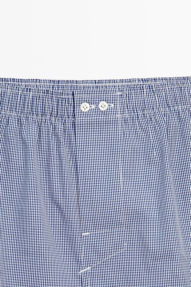 Pötikareli mini boxer - 7