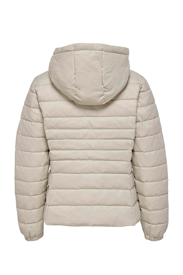 Bozkır köpeği - 3