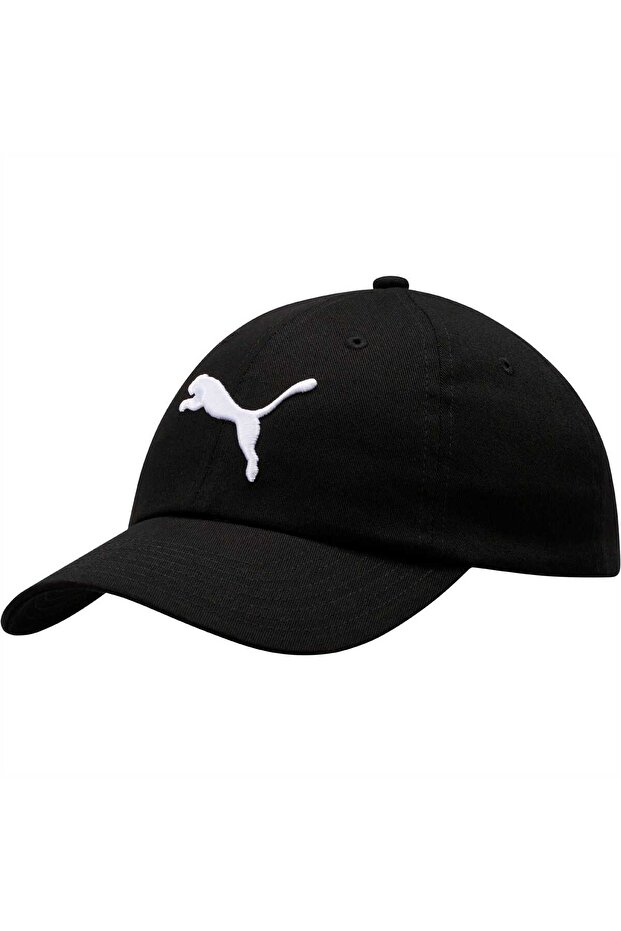 ESS Cap - 1