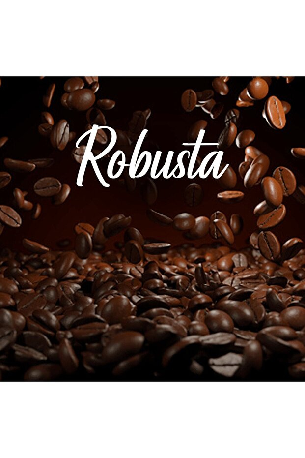 %100 Robusta Endonezya Java Espresso|Single Origin Filtre Kahve|Orta Kavrum|250g - 6