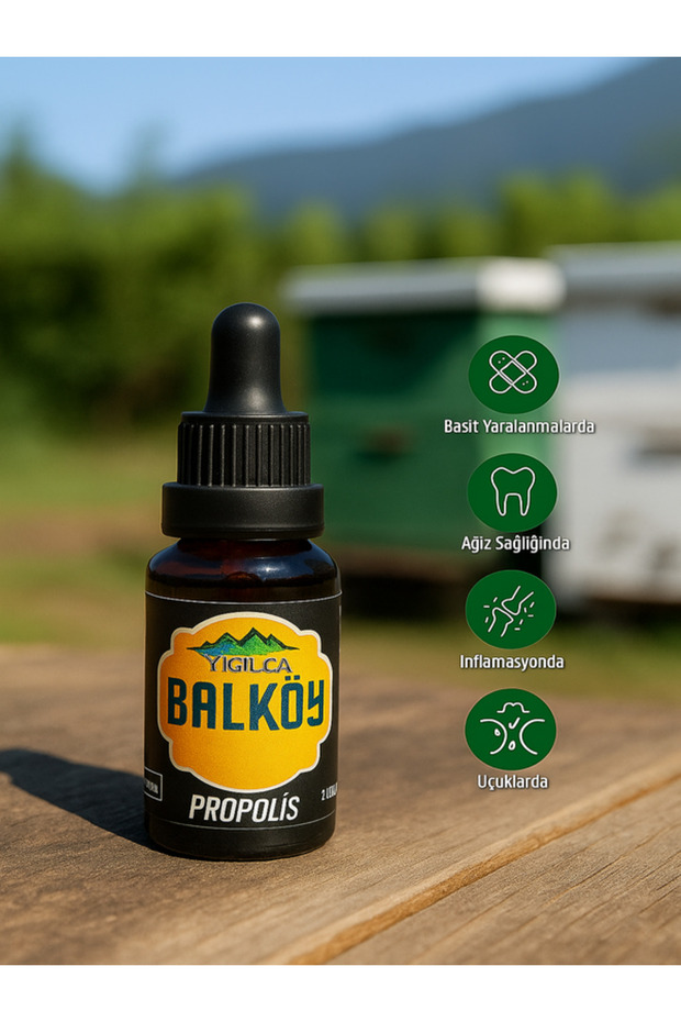 PROPOLİS