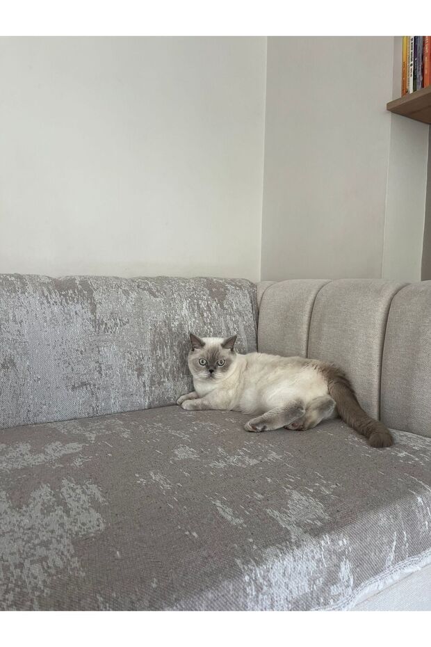 Sofa Cover Cotton