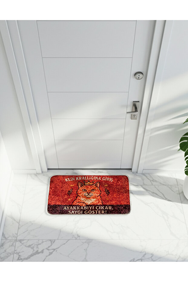 Kapı Önü Paspas - Kedili Mizahi Paspas - Dekoratif Paspas - 2