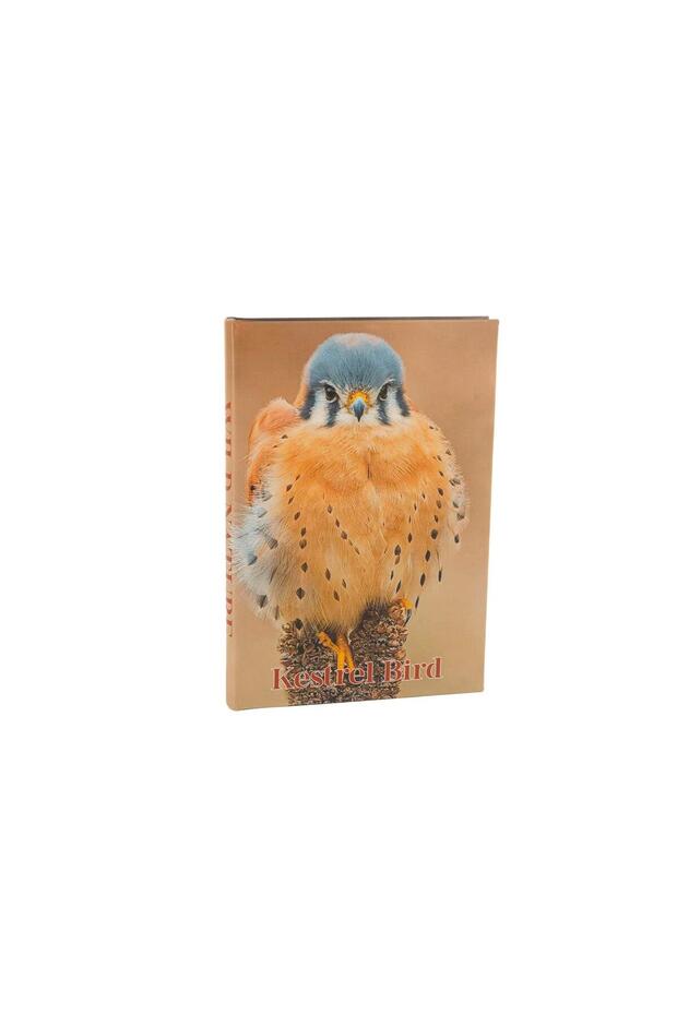 صندوق كتب على شكل طائر الصقر، مقاس 35x24x3 سم