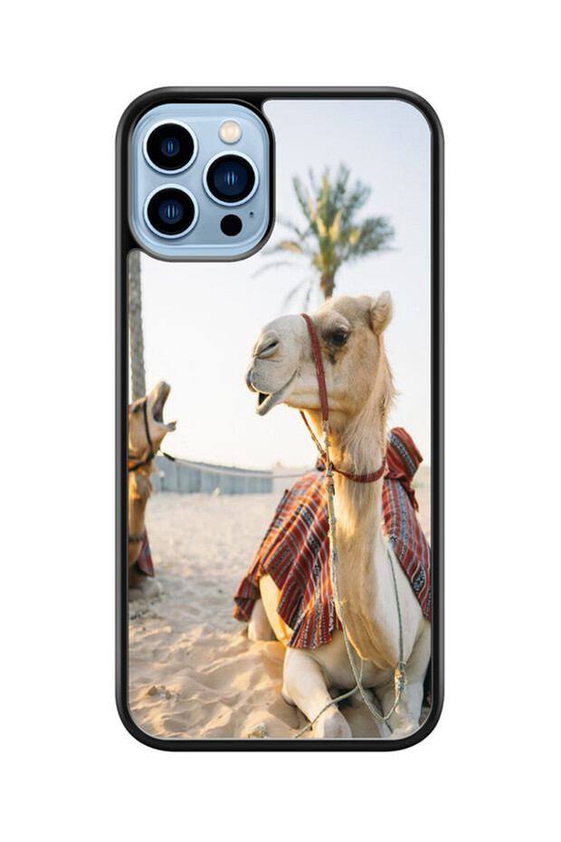 Multi-colored iPhone 13 Pro case - 1