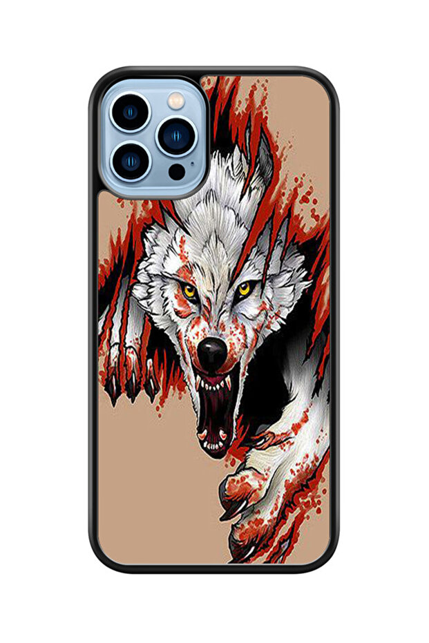 كفر ايفون 13 برو متعدد الألوان - 1