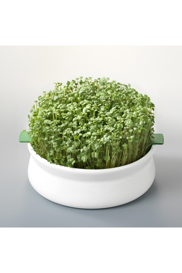 Δοχείο βλάστησης - 1