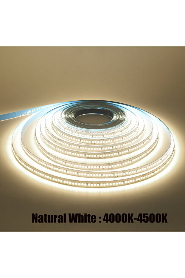 10M-Roll AC 220V EU Plug Natural White AC 220V 110V LED Strip 240Leds/M IP44 10CM Cut Home Decor War