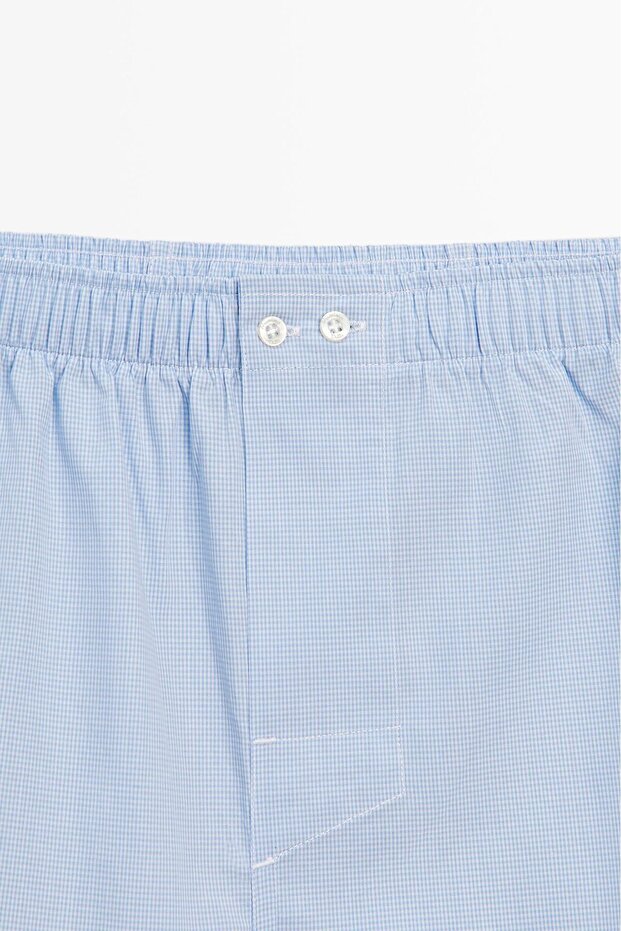 Pötikareli mini boxer - 7