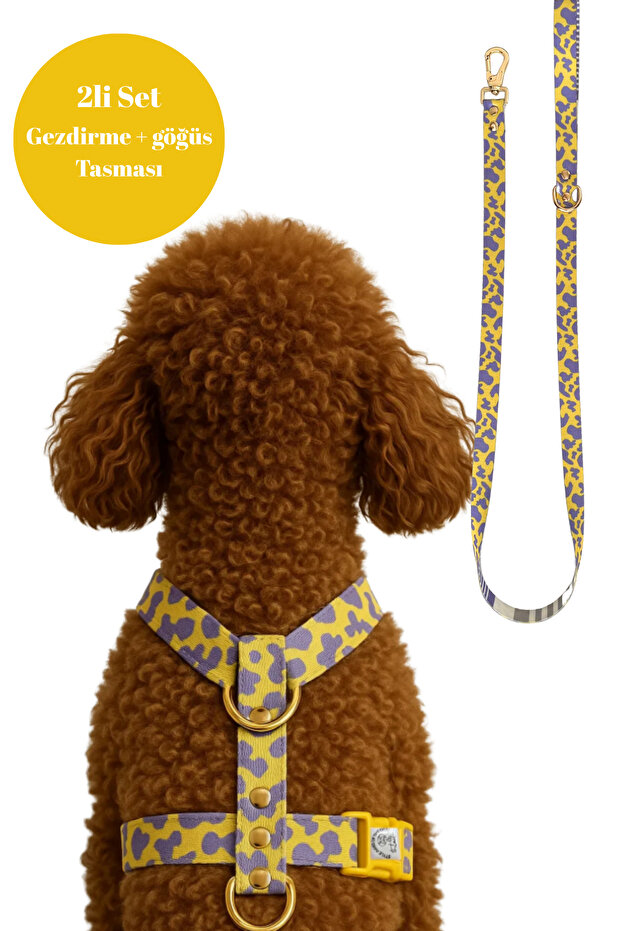 h tipi PLA Klips köpek göğüs tasması + gezdirme tasması seti - 1