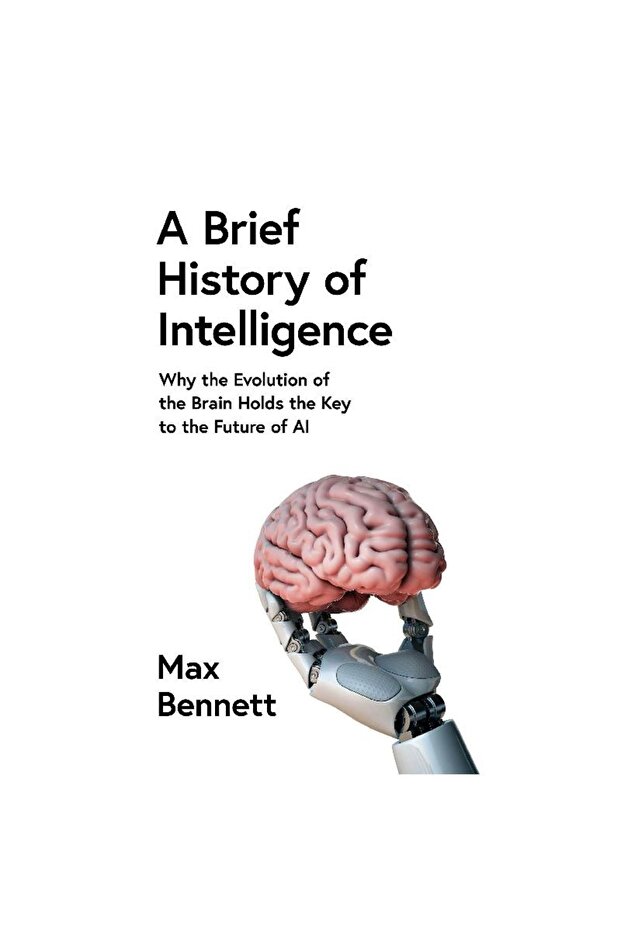 Why The Evolution of The Brain Holds The Key to The Future of AI - 1