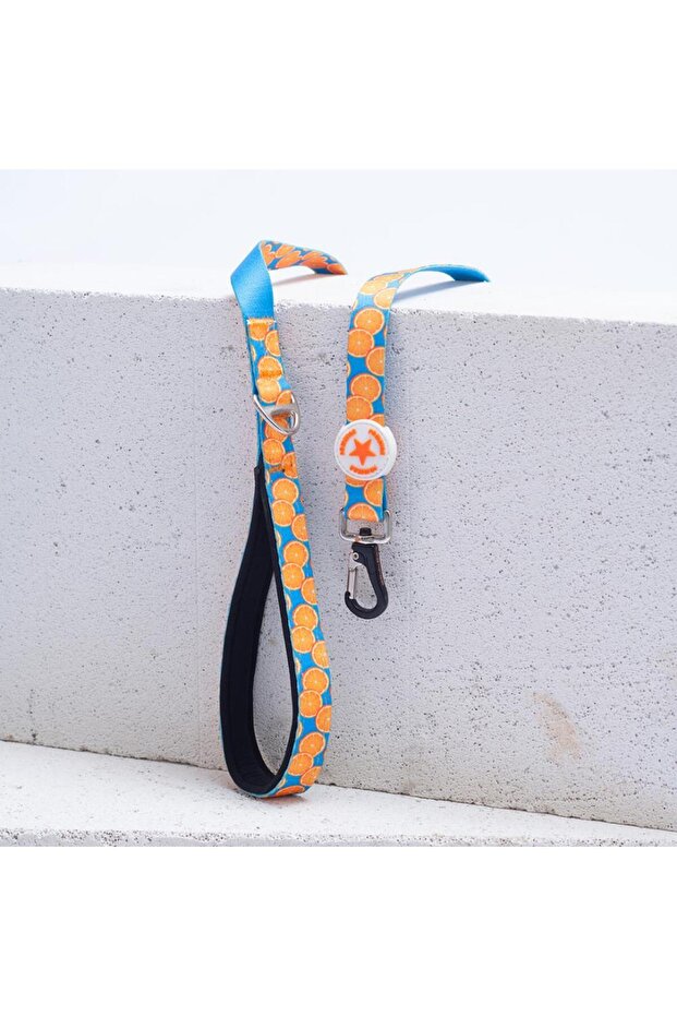 Citrus Leash Citrus Patterned Cat and Dog Travel & Walking Strap Dog Extension Leash-2Cm