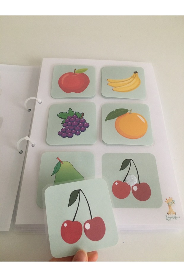 Matching Activity Book, Pre-School Special Education, Activity, Activity - 2