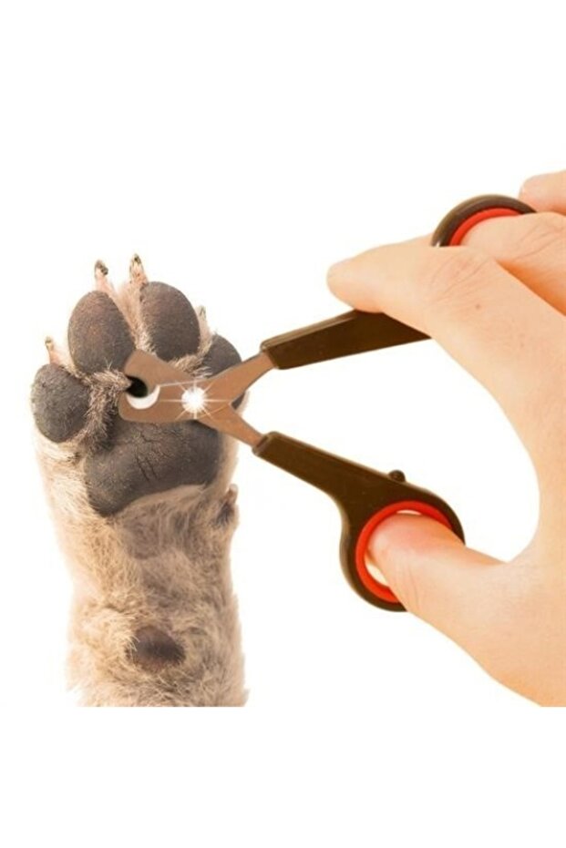 Pet Nail Clipper And Rasp Set Manicure Pedicure Paw Care Tool Non-Slip Handle
