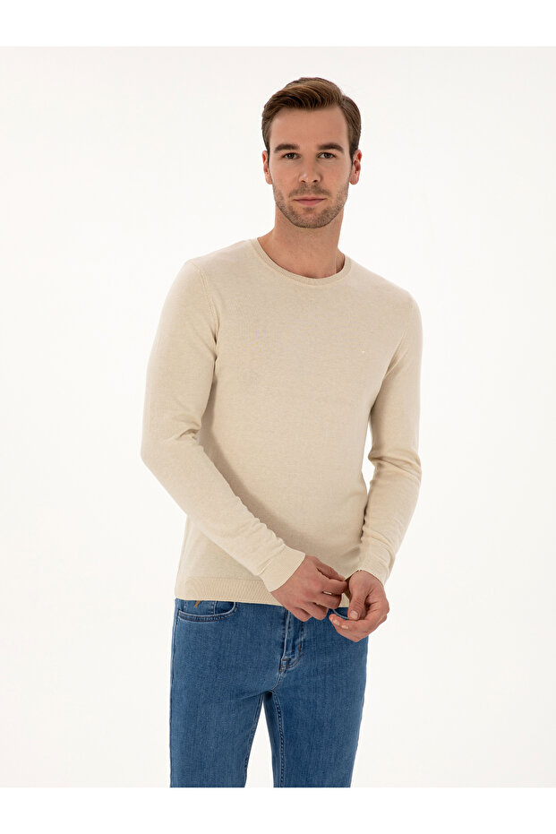 Beige Slim Fit Cotton Blend Crew Neck Basic Knitwear Sweater 50318620-Vr011