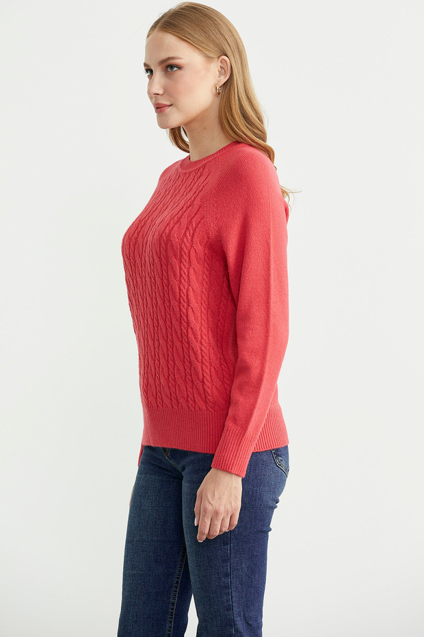 Patterned Crew Neck Sweater - Rose - 4