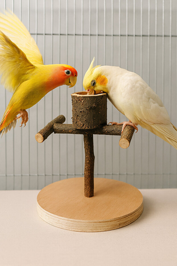 Portable Wooden Bird Perch – Durable Training and Play Stand for Parrots and Small Birds