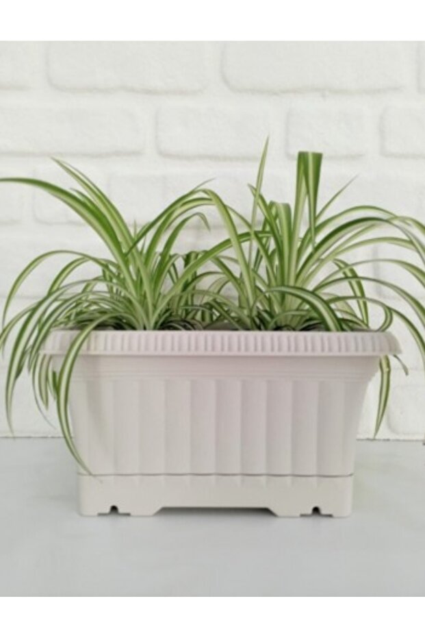 Ova Balcony Flower Pot No:1 – 27X16 Cm, 3.5 Liter Rectangular Flower Pot
