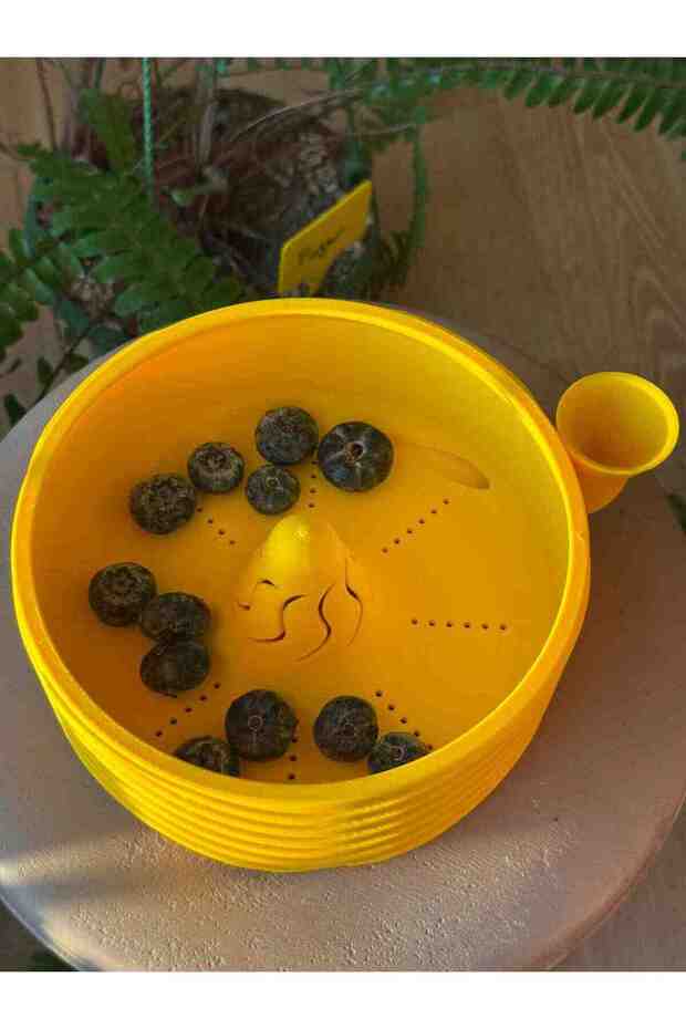 مصفاة غسيل الفواكه والخضروات من فريش بوكس