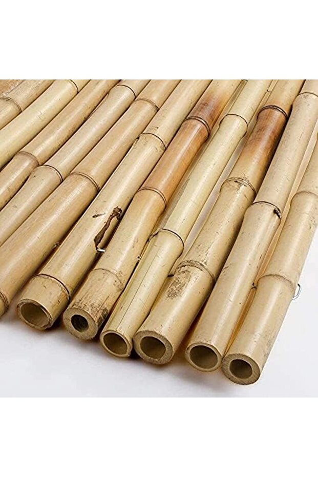 FFD Natural Bamboo Plant Supports - 60cm Gardening Stakes Pack of 5
