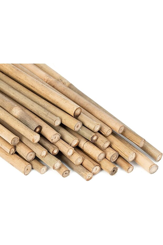 FFD Premium Natural Bamboo Plant Support Stakes -120cm- Strong Gardening Poles Pack of 10