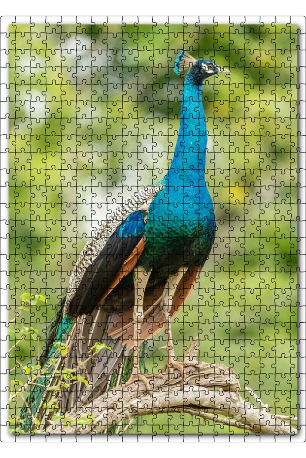 Cakasepetim 500 Piece Puzzle Jigsaw Puzzle Mdf (Wood) with an Image of an Indian Peacock on a Branch