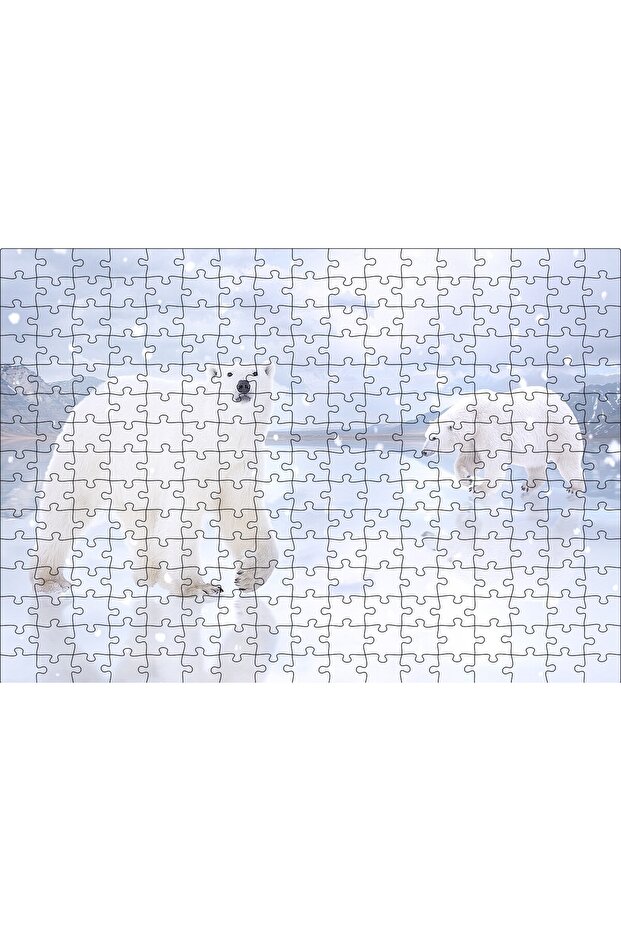 Cakasepetim Polar Bears Snows and Ice Masses 255 Piece Puzzle Jigsaw Puzzle Mdf (Wood)