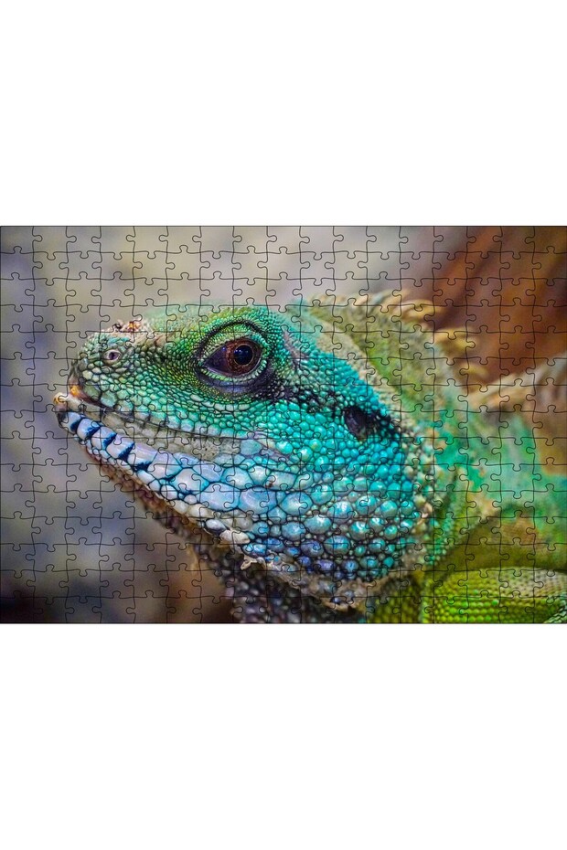 Cakasepetim Close-Up of a Lizard in Green and Blue Colors 120 Piece Puzzle Jigsaw Puzzle Mdf (Wood)