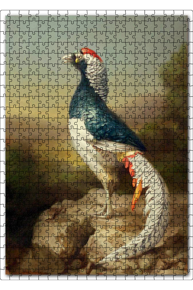Cakasepetim Pheasant on the Rocks 500 Piece Puzzle Jigsaw Mdf (Wood)