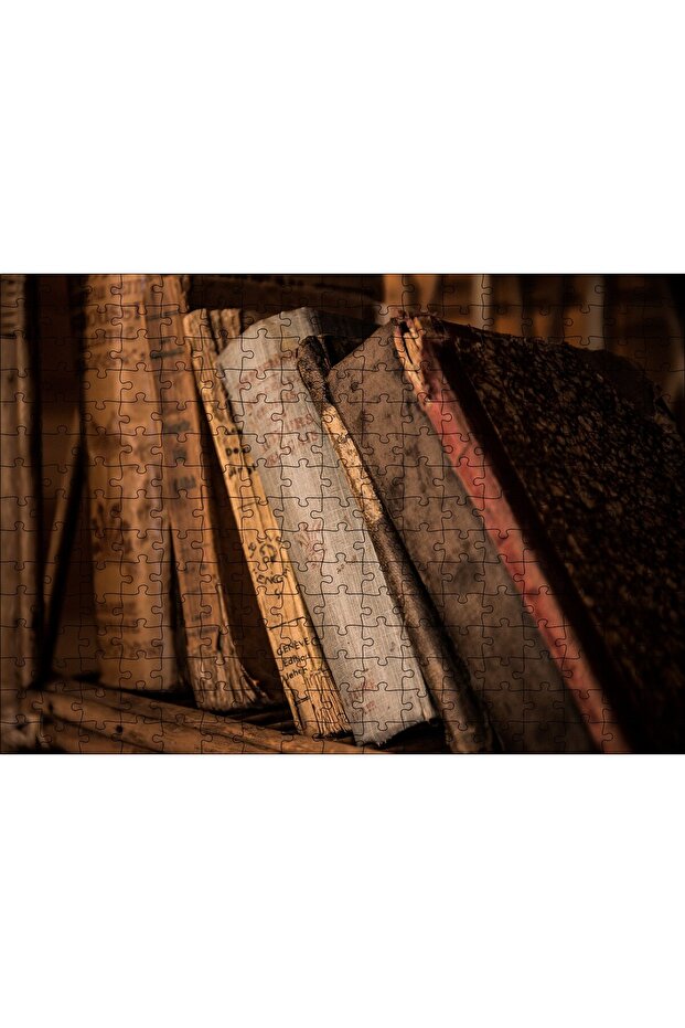 Cakasepetim Old Books in the Bookcase 255 Piece Puzzle Jigsaw Puzzle Mdf (Wood)