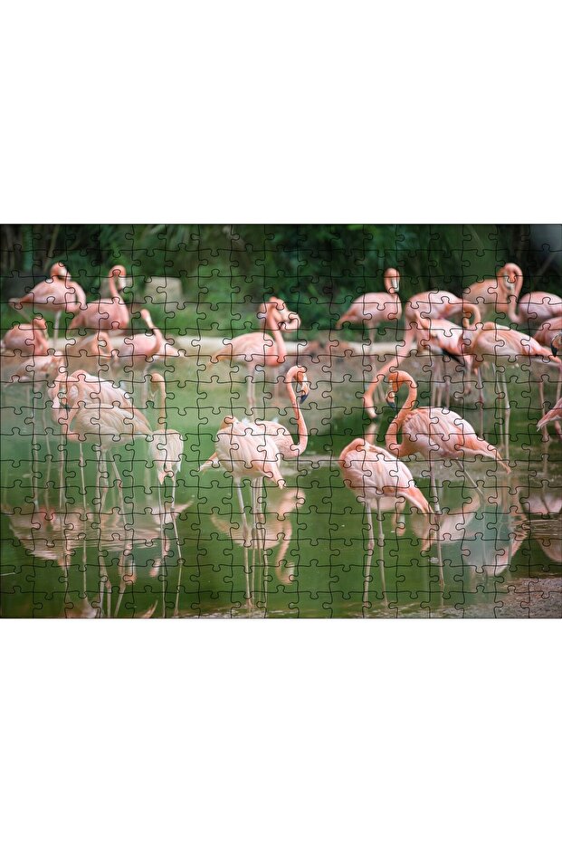 Cakasepetim Flamingos Fed in the Still Lake 255 Piece Puzzle Jigsaw Mdf (Wood)